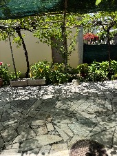 Appartamento in affitto Gabriele D'Annunzio - Tipo A - Bilocale - chalet Solarium Tortoreto Lido