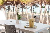 Appartamento in affitto Kalos - Tipo C - trilocale fronte mare - Pineta Alba Adriatica